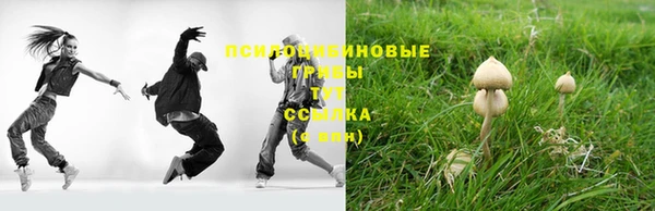 тгк Абдулино