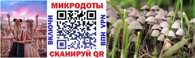 Галлюциногенные грибы MAGIC MUSHROOMS  Белая Калитва 